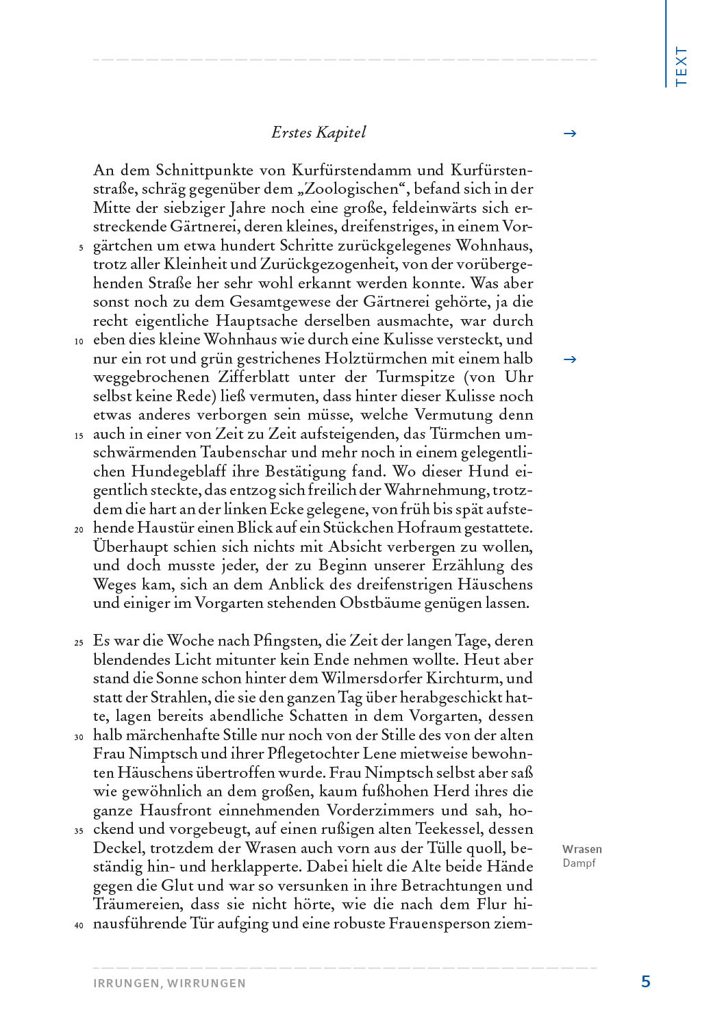 Fontane, Theodor: Irrungen, Wirrungen. HL PLUS – Bild 3