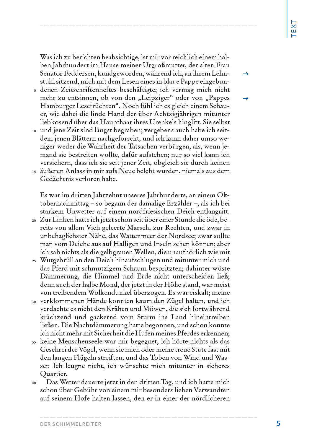 Storm, Theodor: Der Schimmelreiter. HL PLUS – Bild 3