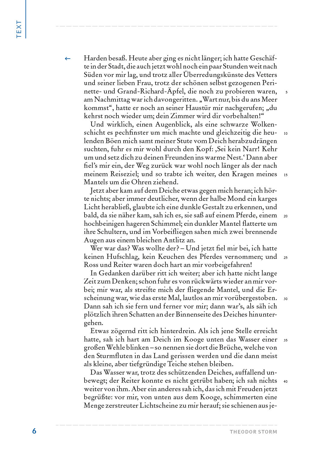 Storm, Theodor: Der Schimmelreiter. HL PLUS – Bild 4