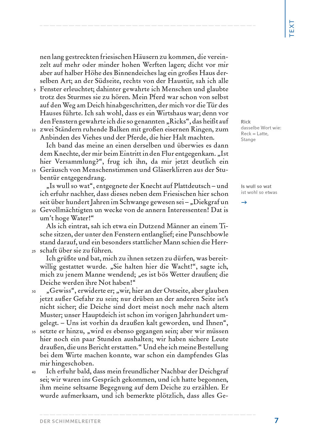 Storm, Theodor: Der Schimmelreiter. HL PLUS – Bild 5