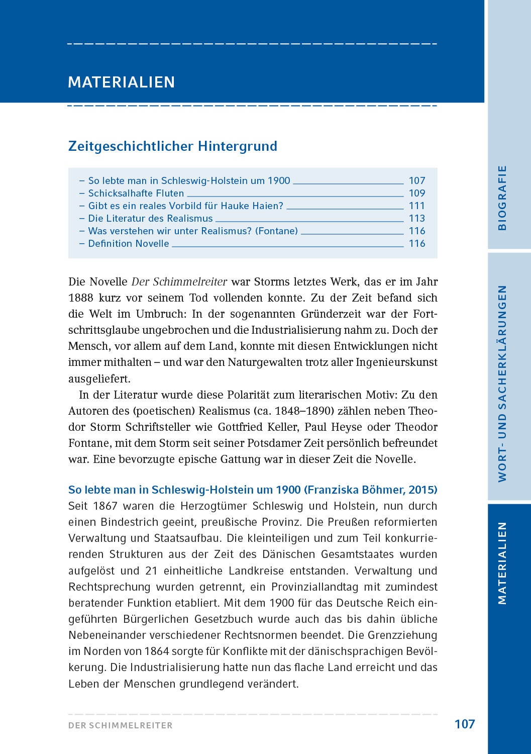 Storm, Theodor: Der Schimmelreiter. HL PLUS – Bild 8