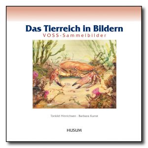 Das Tierreich in Bildern