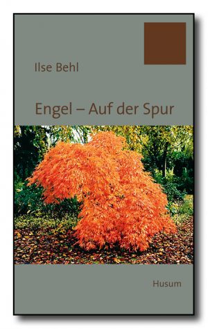 Engel - Auf der Spur