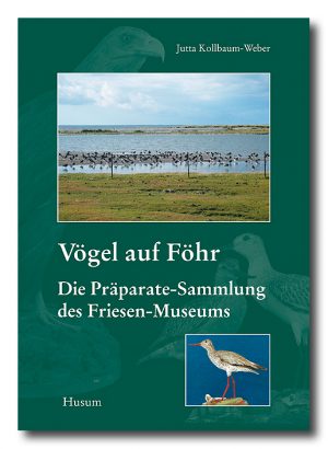Vögel auf Föhr