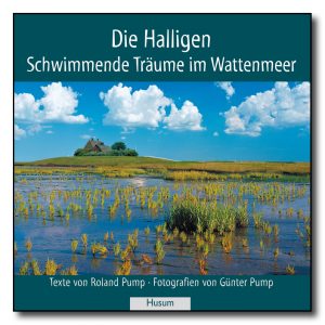 Die Halligen