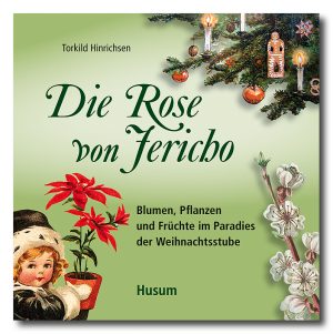 Die Rose von Jericho