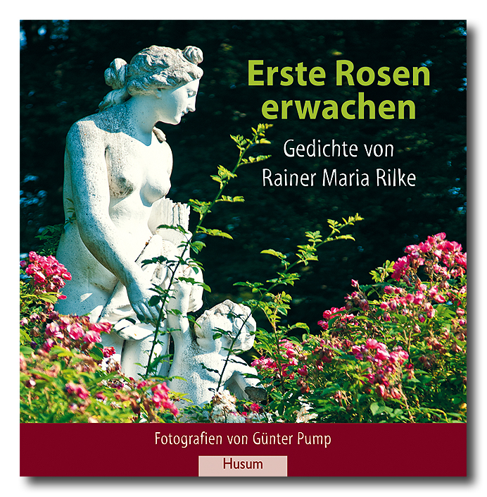Erste Rosen erwachen