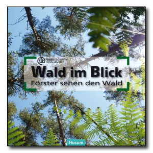 Wald im Blick