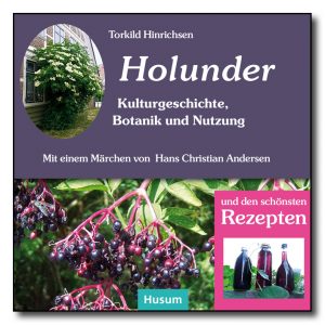 Holunder