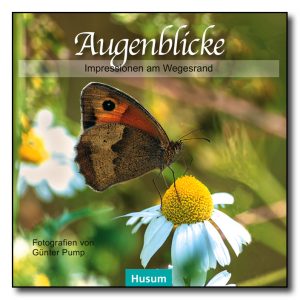 Augenblicke