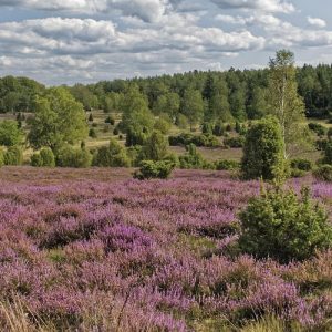 Niedersachsen & Harz