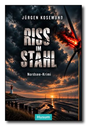 Cover Riss im Stahl